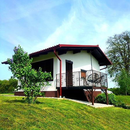 Apartma Kapelski Fant Sveti Jurij ob Scavnici 外观 照片