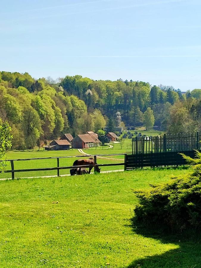 Apartma Kapelski Fant Sveti Jurij ob Scavnici 外观 照片